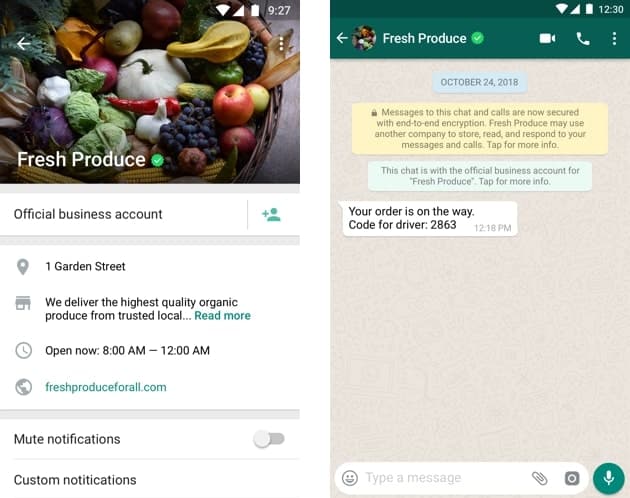 WhatsApp Robot Marketing
