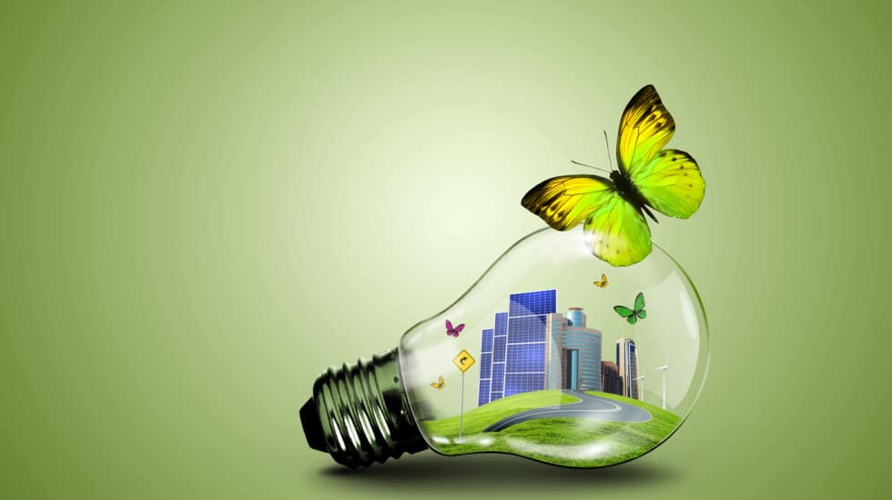corporate-social-responsibility-300x150