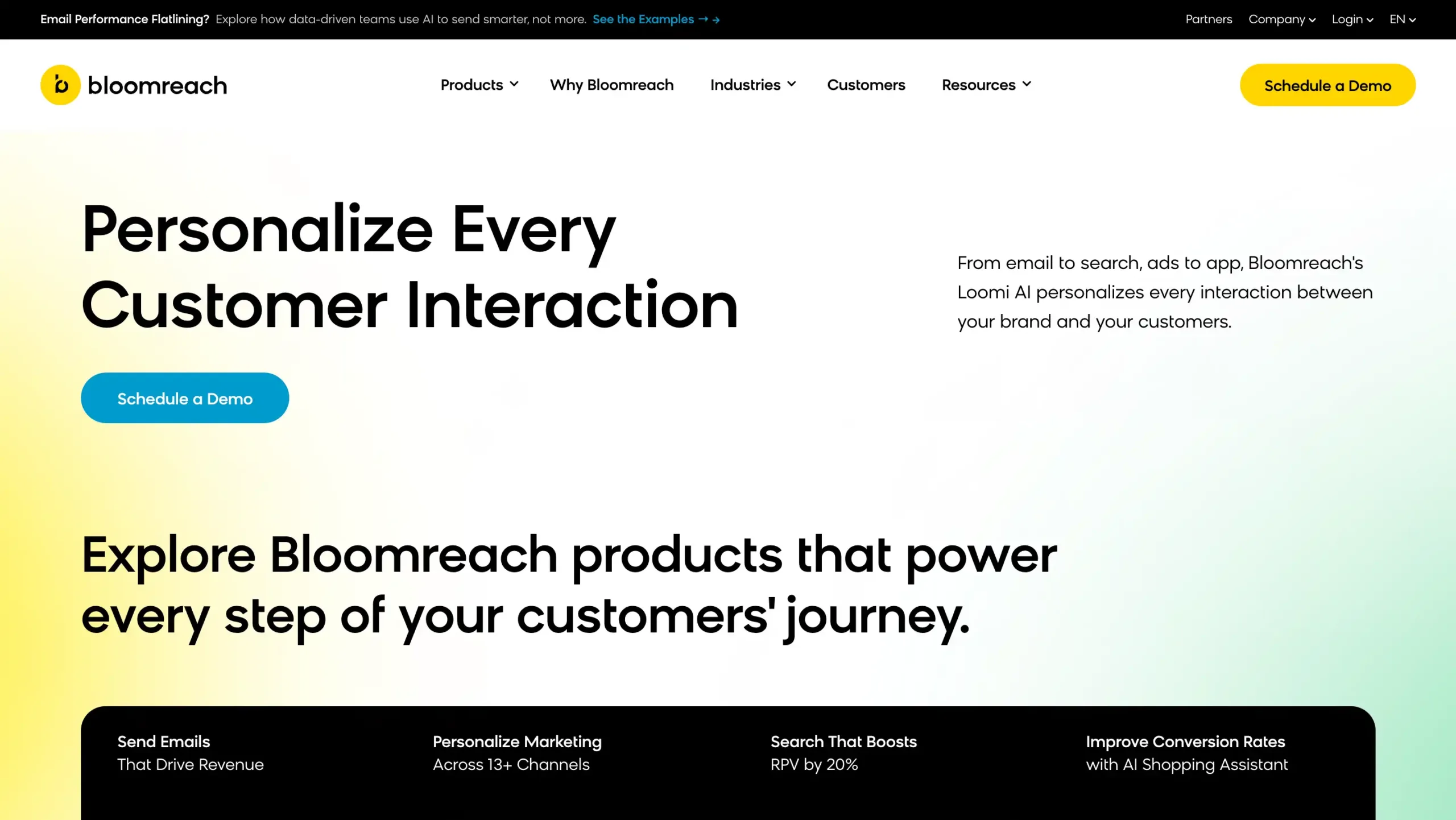 Landing Page Bloomreach Bloomreach-Marketing Automation Software