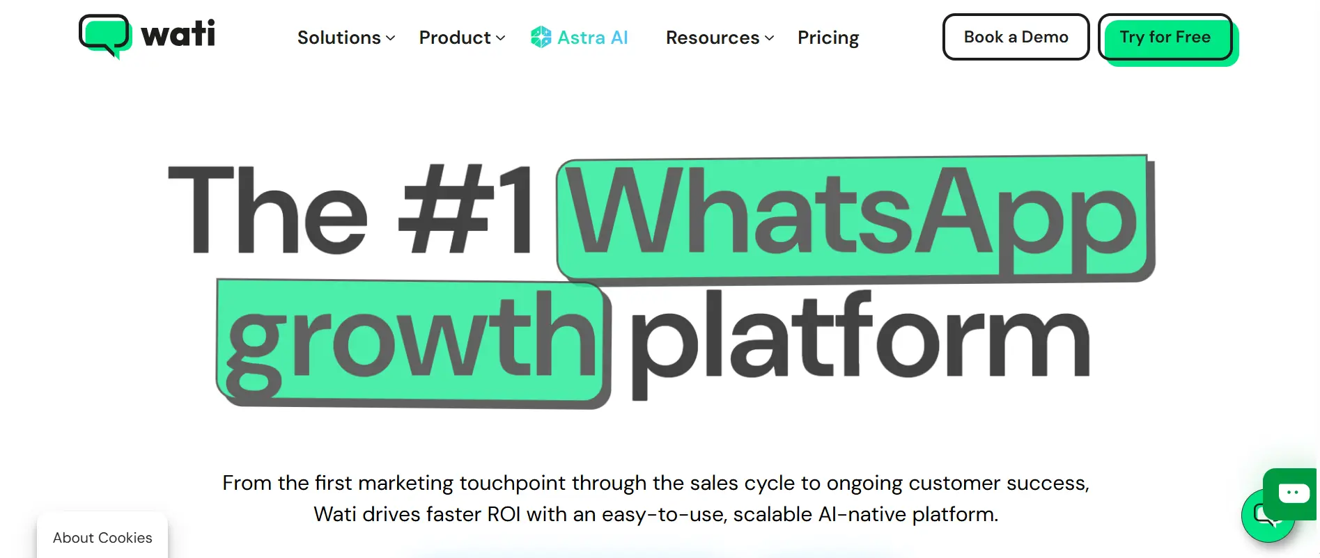 Halaman Homepage Vendor Whatsapp Blast Wati io