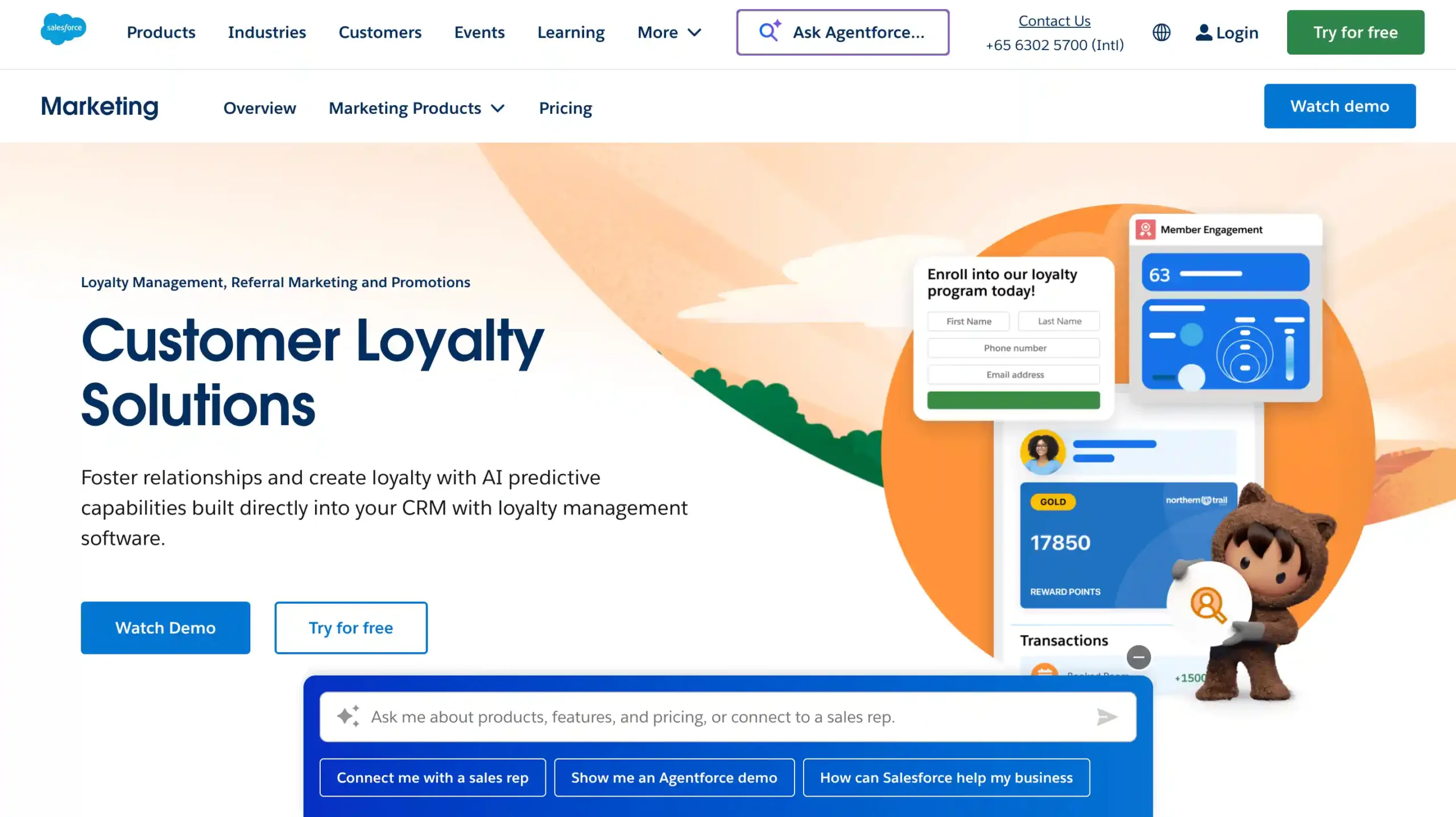 Salesforce Landing Page salesforce-best customer loyalty platform